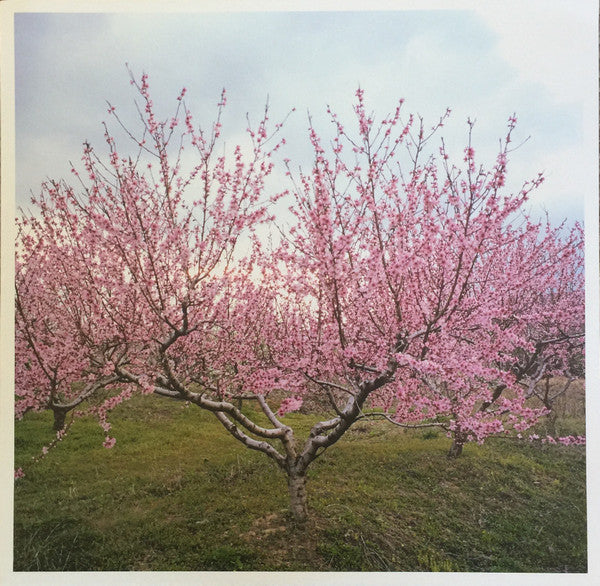 Within And Without (WHITE VINYL) | Near Mint (NM or M-) Near Mint (NM or M-) Get Cheap Vinyl