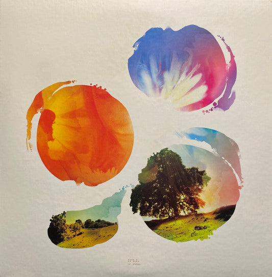 Past Is Prologue | Mint (M) Get Cheap Vinyl