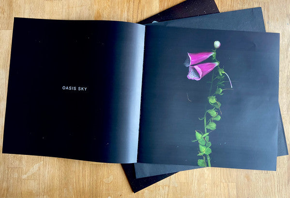Oasis Sky | Mint (M) Mint (M) Get Cheap Vinyl