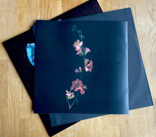Oasis Sky | Mint (M) Mint (M) Get Cheap Vinyl