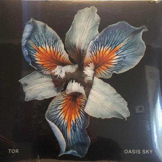 Oasis Sky | Mint (M) Mint (M) Get Cheap Vinyl
