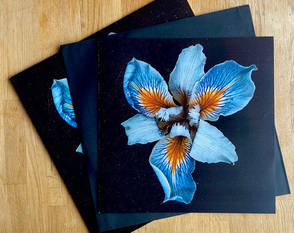 Oasis Sky | Mint (M) Mint (M) Get Cheap Vinyl