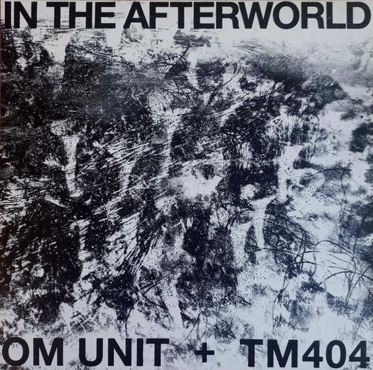 In The Afterworld | Mint (M) Mint (M) Get Cheap Vinyl