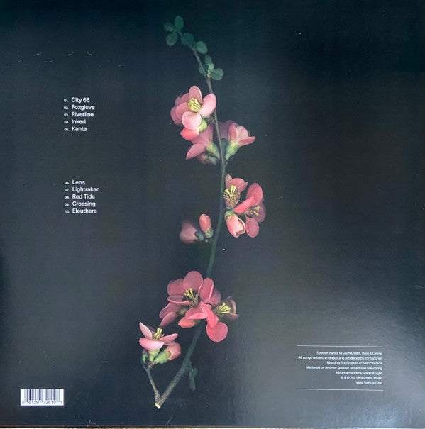 Oasis Sky | Mint (M) Mint (M) Get Cheap Vinyl