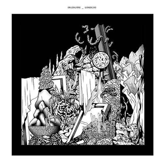 Lyrebird | Get Cheap Vinyl
