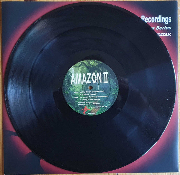 Big Booya / Control Yourself / Lovely Feeling / Deep In The Jungle (VINYL) | Mint (M) Mint (M) Get Cheap Vinyl