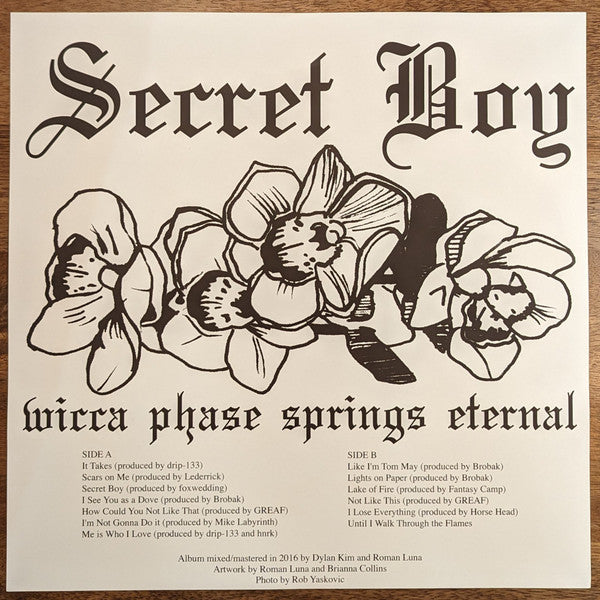 Secret Boy | Mint (M) Mint (M) Get Cheap Vinyl