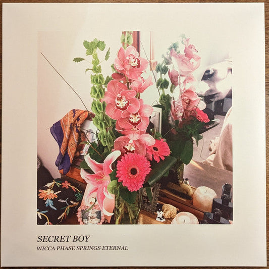Secret Boy | Mint (M) Mint (M) Get Cheap Vinyl