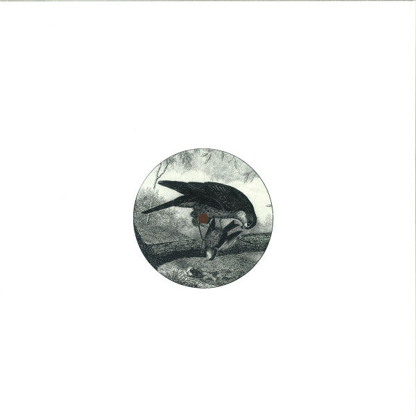 Bird Of Prey | Mint (M) Mint (M) Get Cheap Vinyl
