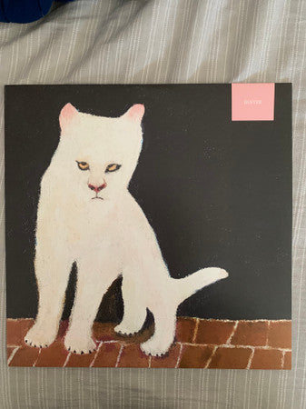 Duster (GHOULISH TRANSLUCENT VINYL) | Mint (M) Mint (M) Get Cheap Vinyl