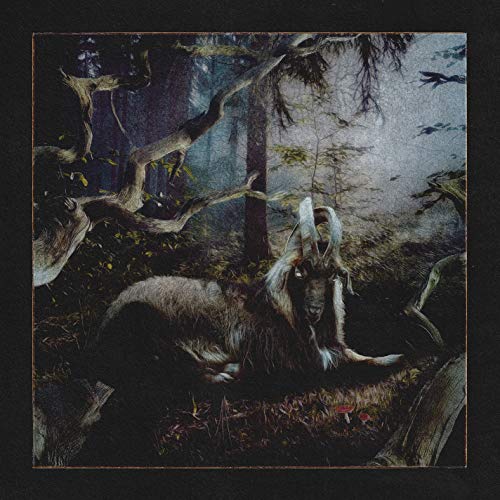 Feet Of Clay [Explicit Content] (VINYL) | Mint (M) Mint (M) Get Cheap Vinyl