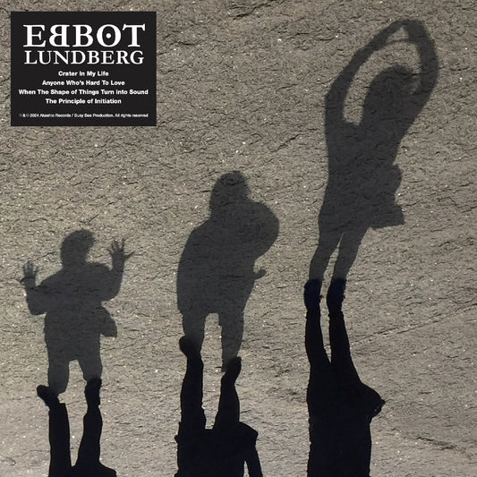 When The Shape Of Things Turn In to Sound | Mint (M) Mint (M) Get Cheap Vinyl