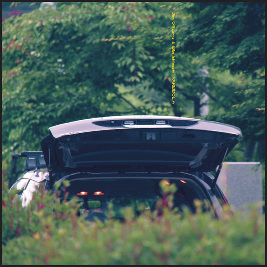 Pareidolia *PRE-ORDER 9/29/2*(VINYL) | Mint (M) Mint (M) Get Cheap Vinyl