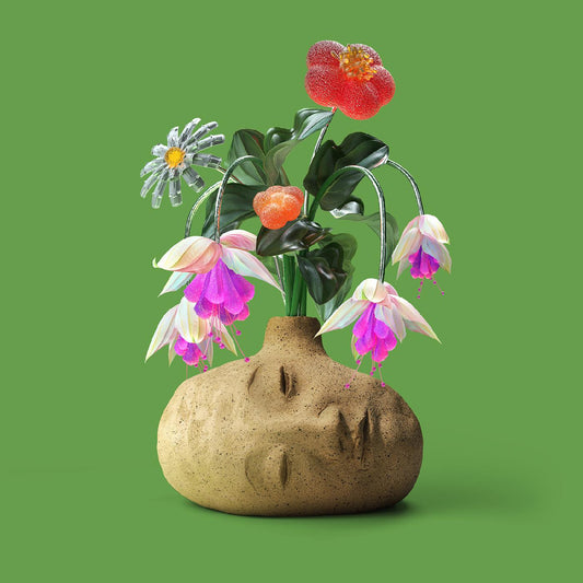 Dreams ("Flower Petal" Fuschia Vinyl) | Mint (M) Mint (M) Get Cheap Vinyl