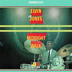 Midnight Walk | Get Cheap Vinyl