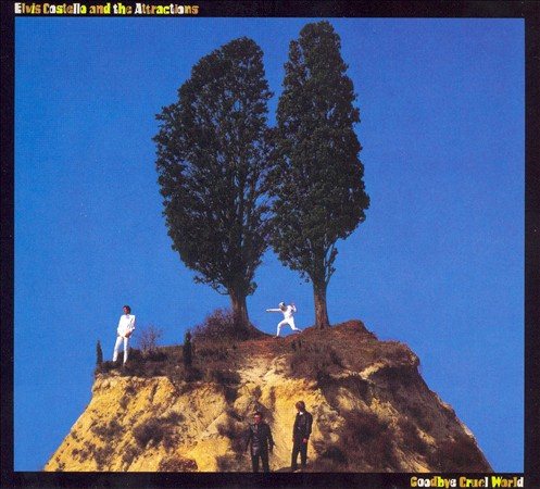 GOODBYE CRUEL WORLD | Mint (M) Mint (M) Get Cheap Vinyl