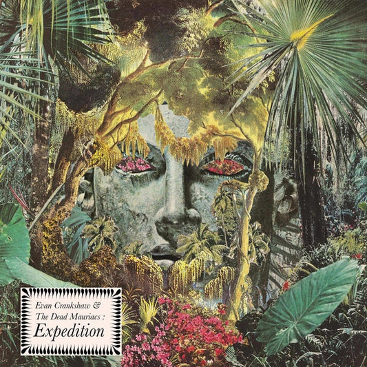 Expedition | Get Cheap Vinyl