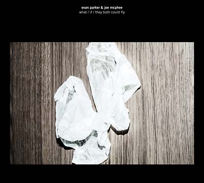 What/If/They Both Could Fly | Get Cheap Vinyl