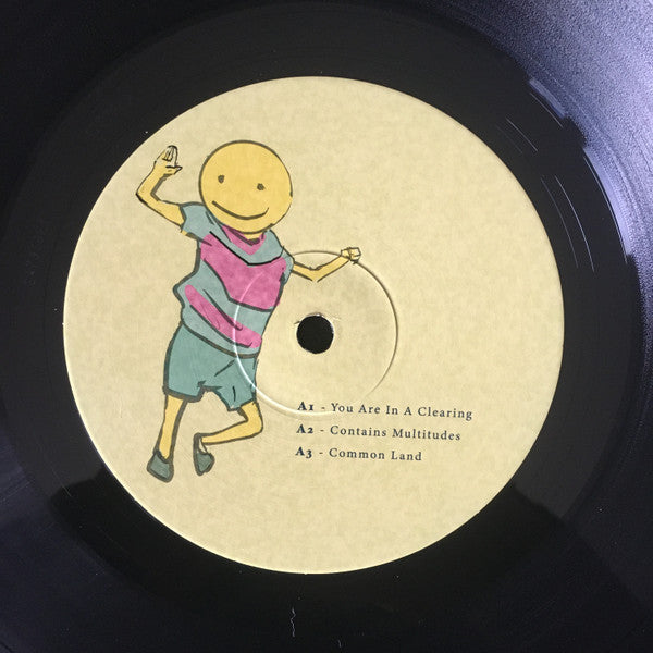 Imagine This Is A High Dimensional Space Of All Possibilities (2xVINYL) | Mint (M) Mint (M) Get Cheap Vinyl