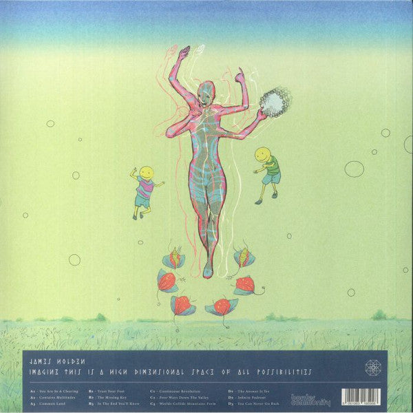 Imagine This Is A High Dimensional Space Of All Possibilities (2xVINYL) | Mint (M) Mint (M) Get Cheap Vinyl