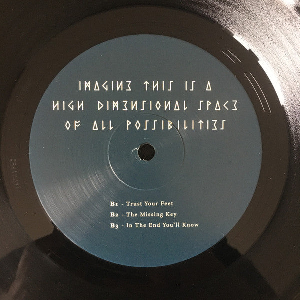 Imagine This Is A High Dimensional Space Of All Possibilities (2xVINYL) | Mint (M) Mint (M) Get Cheap Vinyl