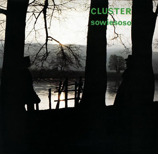 Sowiesoso | Mint (M) Mint (M) Get Cheap Vinyl
