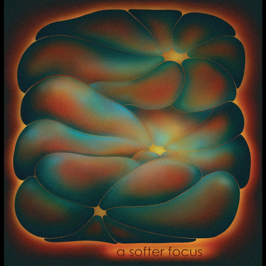A Softer Focus | Mint (M) Mint (M) Get Cheap Vinyl