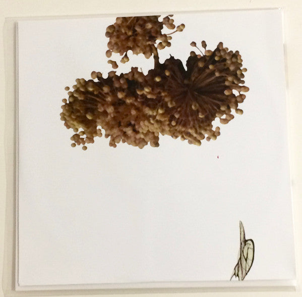 The Ape Of Naples | Mint (M) Mint (M) Get Cheap Vinyl