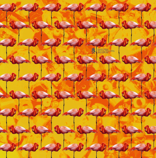 Dreamings & Offshore Drilling – Pearls And Turtles | Mint (M) Mint (M) Get Cheap Vinyl