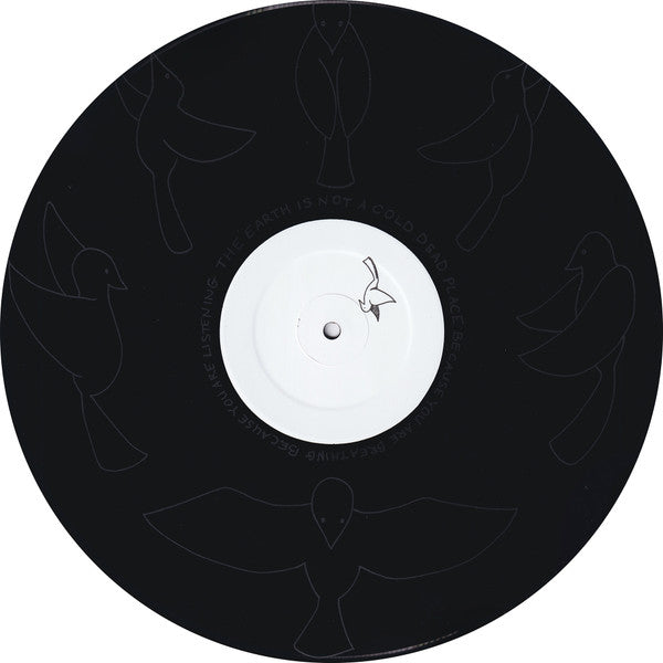 The Earth Is Not A Cold Dead Place | Mint (M) Mint (M) Get Cheap Vinyl