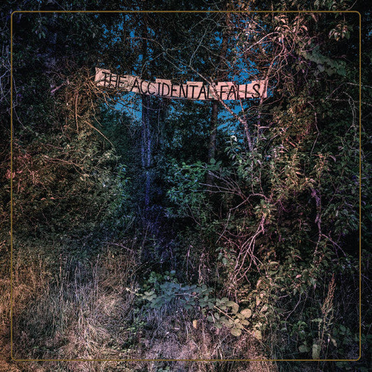 The Accidental Falls | Mint (M) Mint (M) Get Cheap Vinyl
