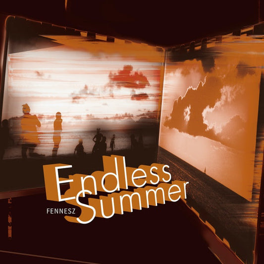 Endless Summer (VINYL) | Mint (M) Mint (M) Get Cheap Vinyl