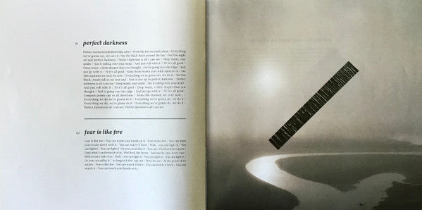 Perfect Darkness | Mint (M) Mint (M) Get Cheap Vinyl