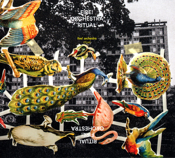 Ritual | Get Cheap Vinyl