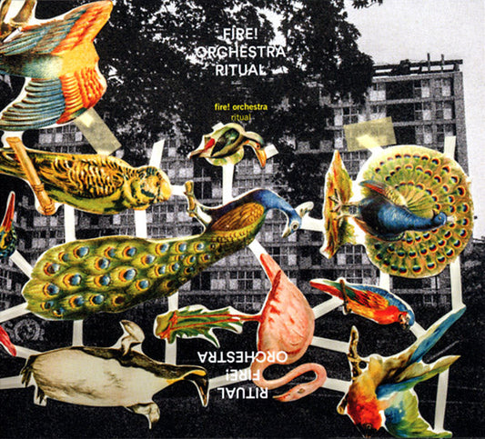 Ritual | Get Cheap Vinyl
