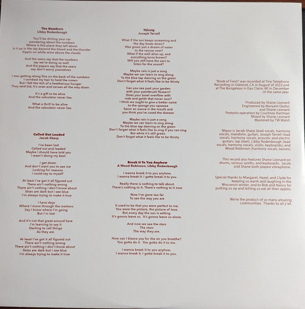 Book of Fools | Mint (M) Mint (M) Get Cheap Vinyl