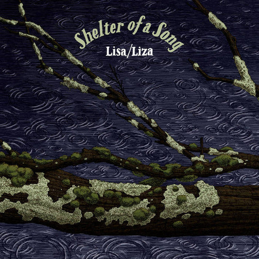 Shelter of a Song | Mint (M) Mint (M) Get Cheap Vinyl
