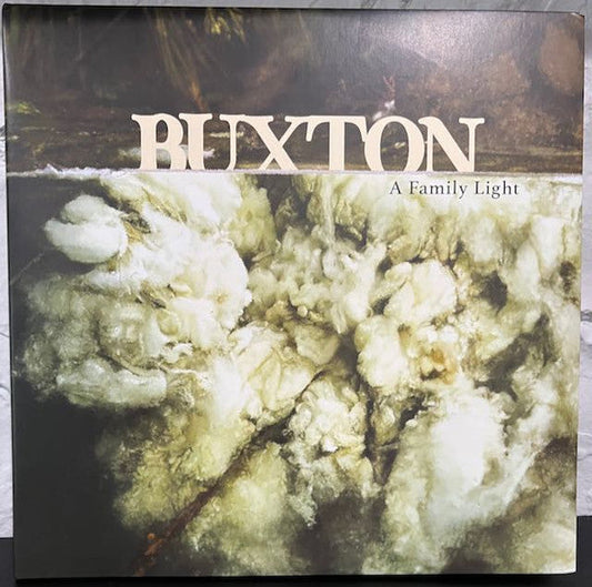 A Family Light (Clear Vinyl) | Mint (M) Mint (M) Get Cheap Vinyl