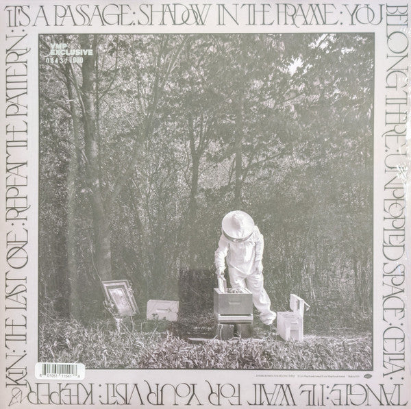 You Belong There | Mint (M) Mint (M) Get Cheap Vinyl