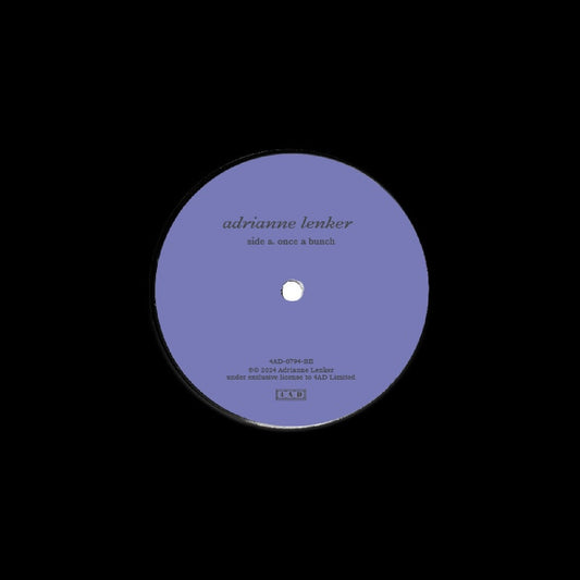 Once A Bunch / Who Can Say (IEX: 7" VINYL) | Mint (M) Mint (M) Get Cheap Vinyl