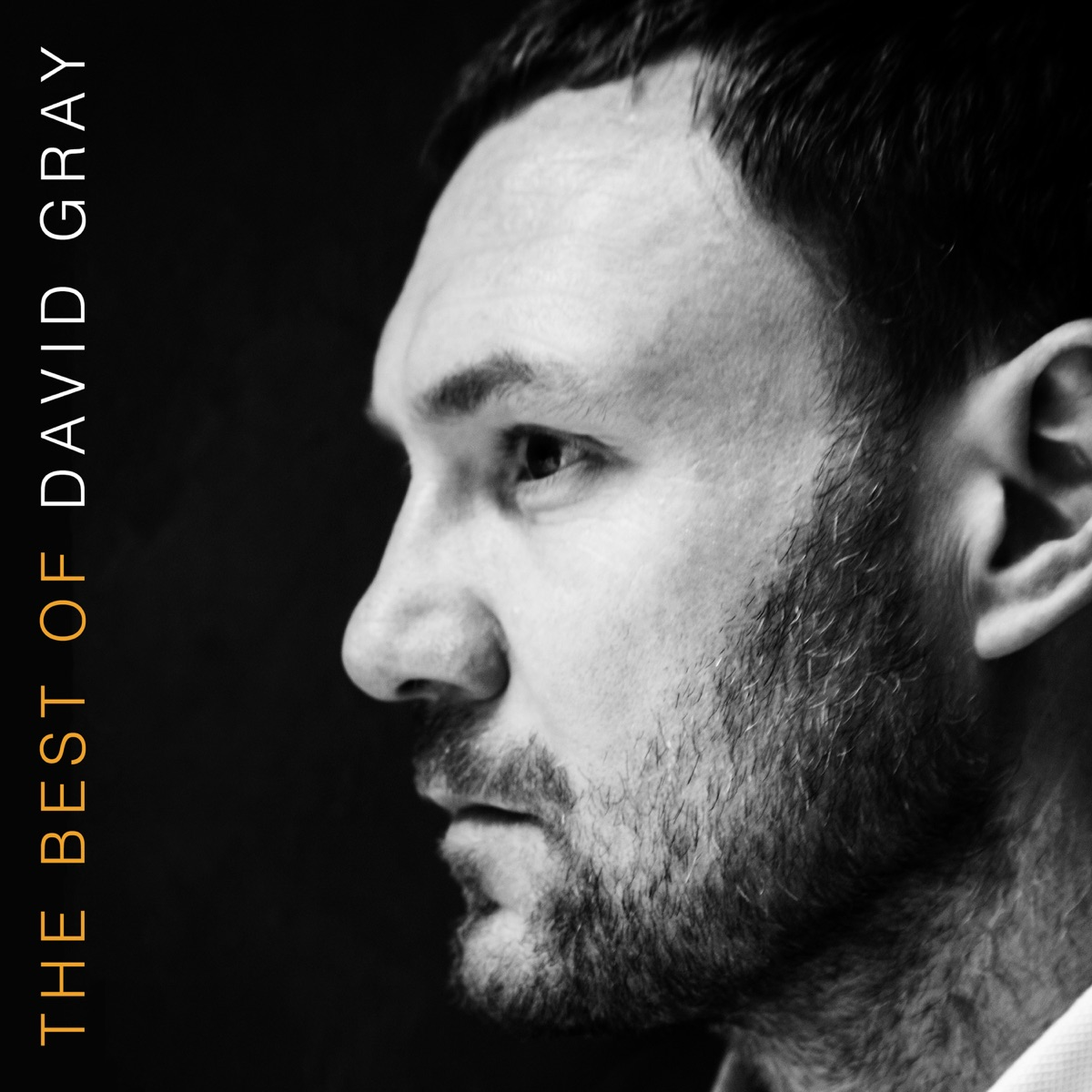 The Best Of David Gray (BEST BUY EXCLUSIVE | ORANGE VINYL) | Mint (M) Mint (M) Get Cheap Vinyl