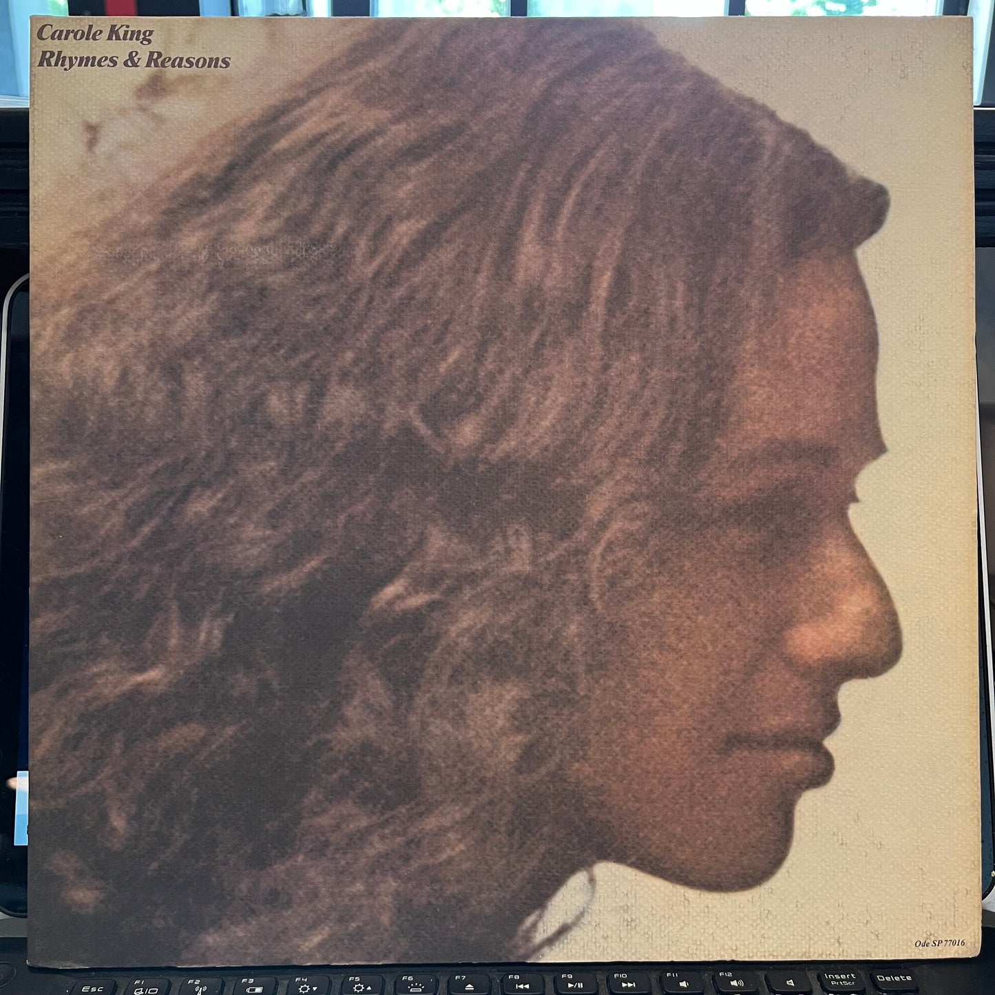 Rhymes & Reasons | Near Mint (NM) Near Mint (NM) Get Cheap Vinyl