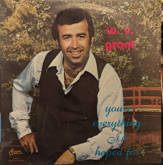 You're Everything I'd Hoped For | Very Good Plus (VG+) Near Mint (NM) Get Cheap Vinyl