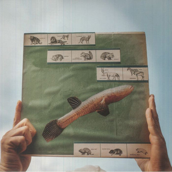 The River Strumming | Mint (M) Mint (M) Get Cheap Vinyl