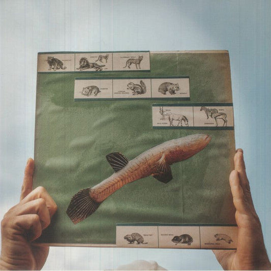 The River Strumming | Mint (M) Mint (M) Get Cheap Vinyl