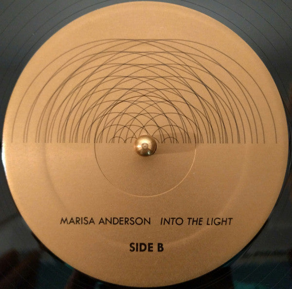 Into The Light | Mint (M) Mint (M) Get Cheap Vinyl