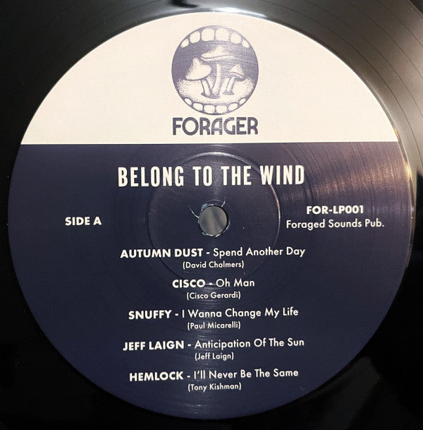 Belong To The Wind | Mint (M) Mint (M) Get Cheap Vinyl
