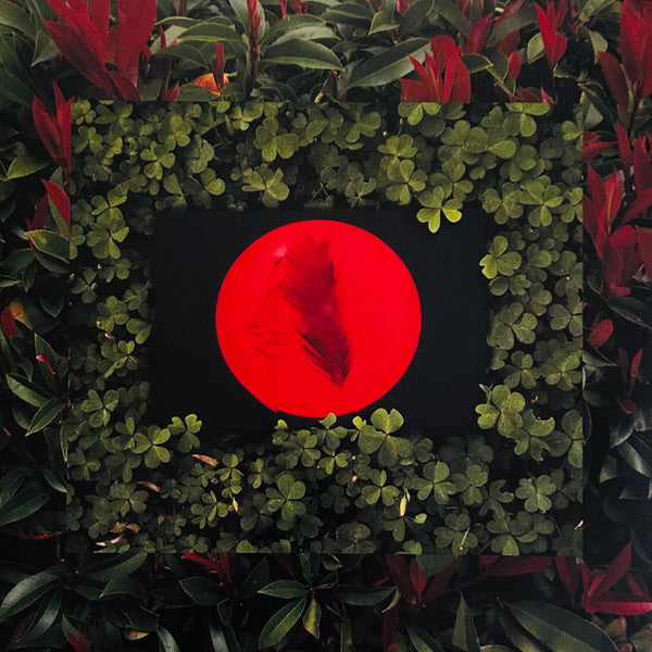 Live From Blackalachia | Mint (M) Mint (M) Get Cheap Vinyl
