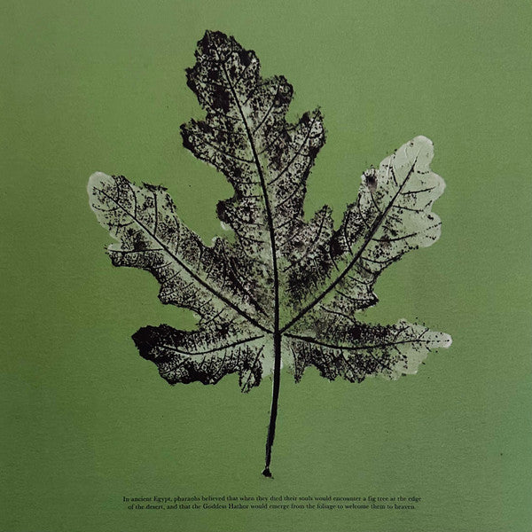 Live From Blackalachia | Mint (M) Mint (M) Get Cheap Vinyl