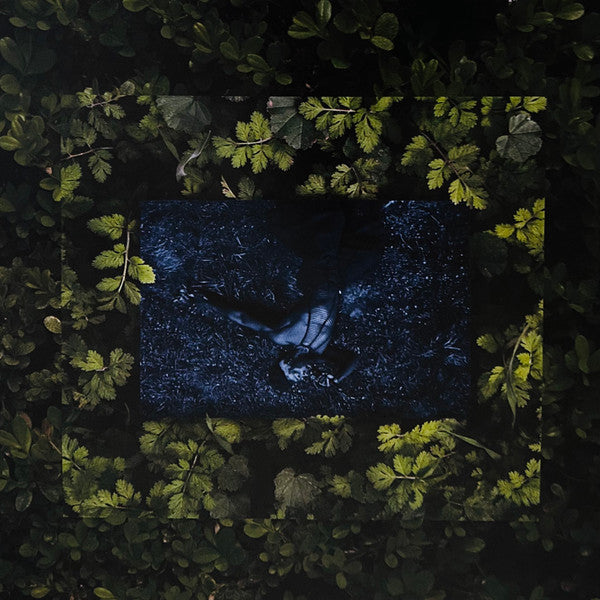 Live From Blackalachia | Mint (M) Mint (M) Get Cheap Vinyl
